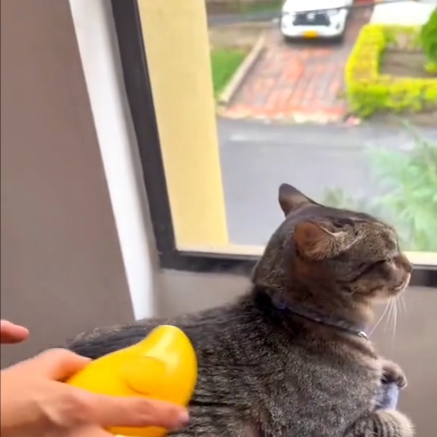 FurEase Cepillo para Mascotas ™